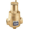 Séparateur d'Air Dégazeur Automatique Laiton CALEFFI Discal DN40 1"1/2 pour Conduites Horizontales - 551008