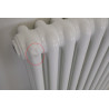Radiateur Acier Eau Chaude 545W IRSAP Tesi 3 Pas Cher