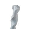 Foret Parpaing et Brique Creuse DIAGER Wallster Compatible SDS-Plus 2 Taillants