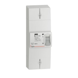 Disjoncteur Non Différentiel LEGRAND de Branchement Enedis Bipolaire Intensité 60A Non Réglable - 401052