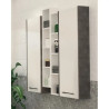Meuble Colonne de Salle de Bain 124x17x40cm AQUANCE 1 Porte Droite Blanc Mat - MDAYN4035204