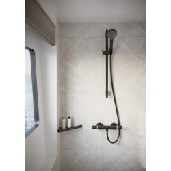 Mitigeur Thermostatique Douche HANSGROHE Ecostat Comfort Noir Mat - 13116670