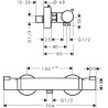 Mitigeur Thermostatique de Douche HANSGROHE Ecostat Comfort - 13116670