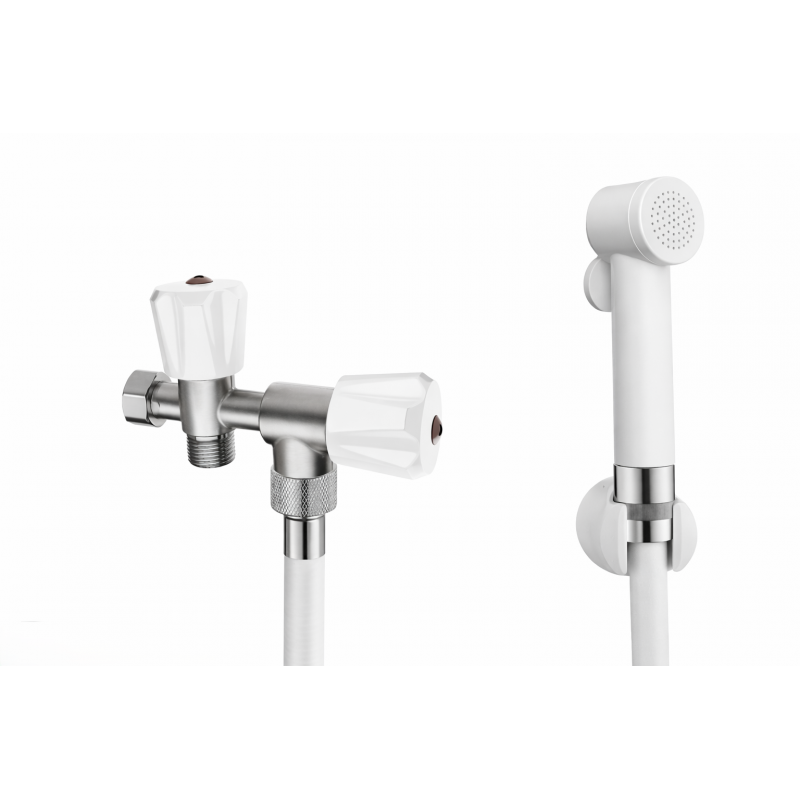 BOSSINI - Kit Douchette WC Paloma Flexible + Support Mural - E44001113