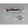 Mitigeur Thermostatique Complet 2 Sorties pour Colonne de Douche et Douchette - C2768