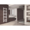 Sèche-Serviettes Électrique 1200W ALTERNA Primeo 2 H1868xL600mm Vertical Mural Blanc - 6841979