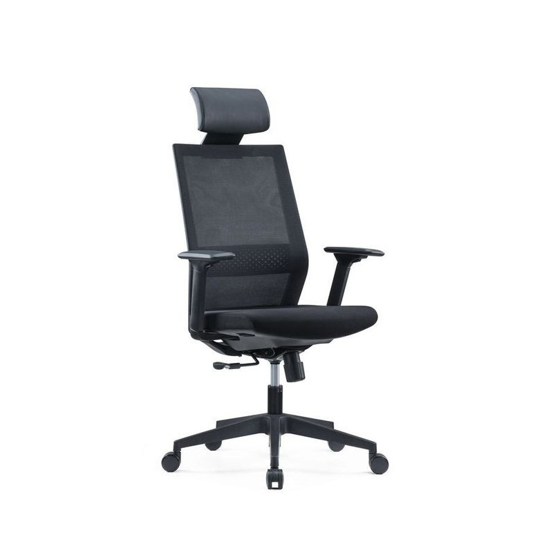 Chaise Fauteuil de Bureau Direction sur Roulettes
