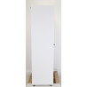 Armoire de Sécurité à Filtration H2135xL1110xP545mm TRIONYX 2 Portes + Filtre à Charbon Actif  - AFP5-2X/CORG51