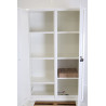 Armoire de Sécurité à ventilation filtrante H2135xL1110xP545mm TRIONYX 2 Portes + Filtre à Charbon Actif  - AFP5-2X/CORG51