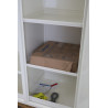 Armoire TRIONYX 2 Portes + Filtre à Charbon Actif  - AFP5-2X/CORG51