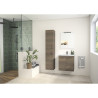 Meuble Sous-Vasque de Salle de Bain AQUANCE Média 2 Portes 60cm Chêne Foncé
