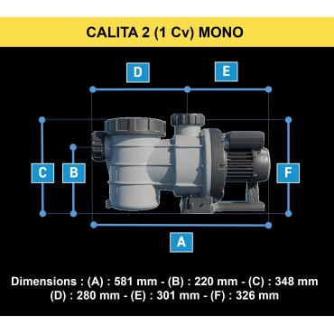 Pompe de Filtration de Piscine IRRIPOOL Calita 2 1 CV 15.5m3/h Monophasé - 440784