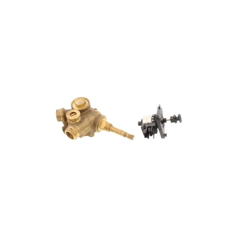 Section Eau 2F HP CHAFFOTEAUX pour Chaudière Gaz Britony Flexiflue - 60069010