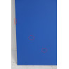 Tatami de Judo FDS DEPREZ 200x100x5cm