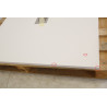 Receveur de Douche ALTERNA Daily'O 100x100cm Blanc
