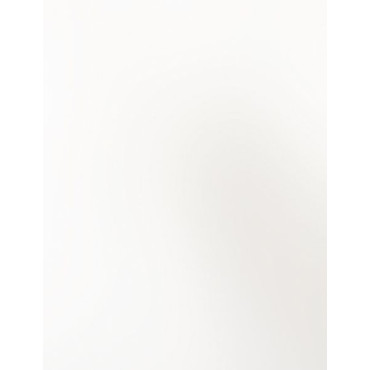 Habillage Mural Bâti-Support 120x150cm LAZER Decofast WC Toilette Blanc - 400699 - NEUF Déclassé