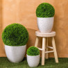 Lot de 3 Pots de Fleurs en Céramique Vena Tailles Différentes D30cm D23cm D17cm Blanc