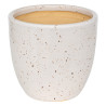 Lot de 3 Pots de Fleurs en Céramique Vena