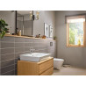Mitigeur de Lavabo HANSGROHE Zebris 110 Coolstart  - 72570000 - NEUF