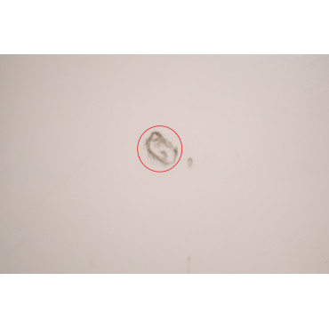 Receveur de Douche IDEAL STANDARD Ultra Flat 120x90cm en Acrylique Blanc - K518301 - NEUF Déclassé