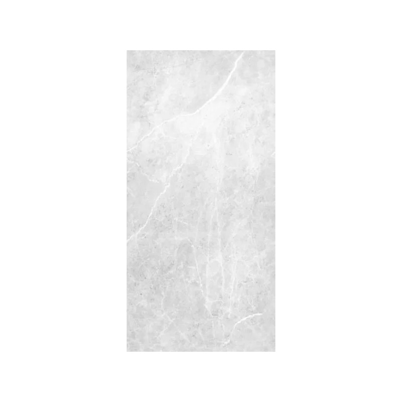 Panneau Décoratif Mural Douche ROTH Vipanel 255x100cm Aragon Gris - 1420000214 - NEUF