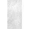Panneau Décoratif Mural Douche ROTH Vipanel 255x100cm Aragon Gris - 1420000214 - NEUF