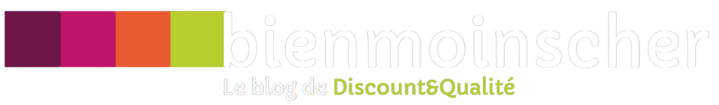 logo blog bienmoincher, le blog de discountetqualite.fr