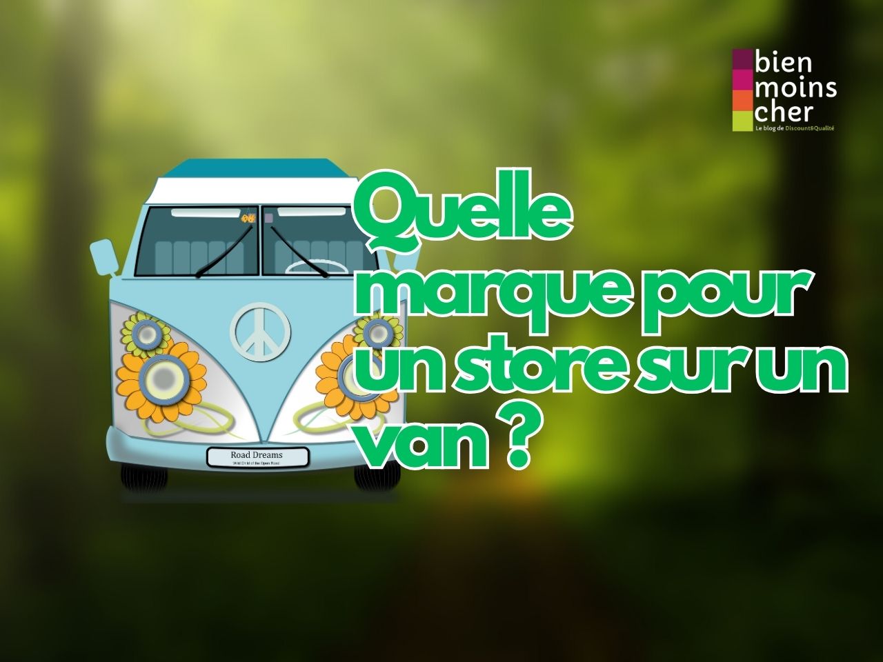 Quelle marque pour un store sur un van ?