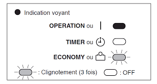 Voyants Timer et Economy