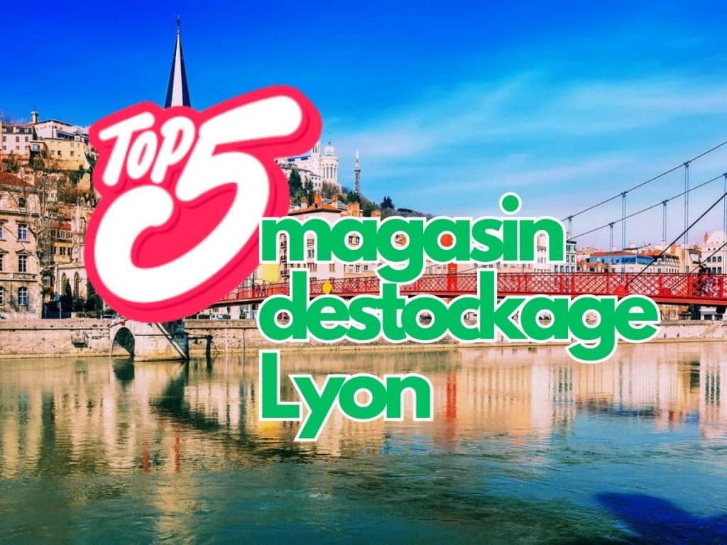Top 5 magasin destockage lyon