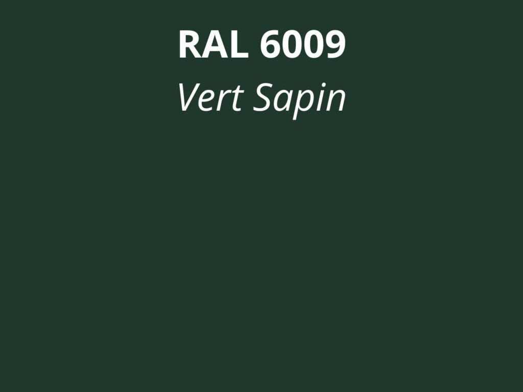 Vert Sapin RAL 6009